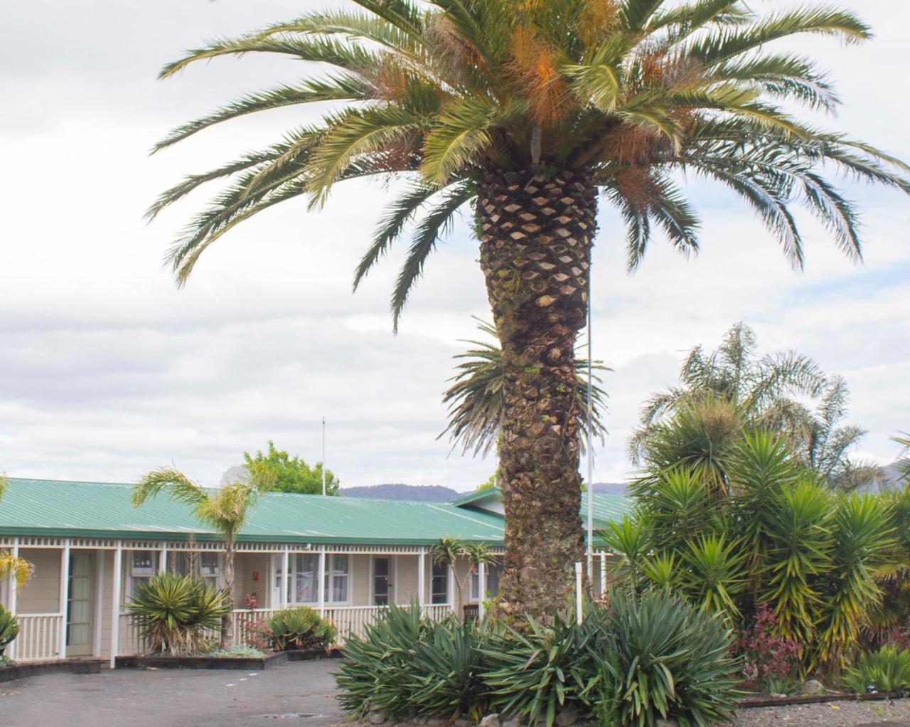 Palm Motel Waihi Eksteriør bilde