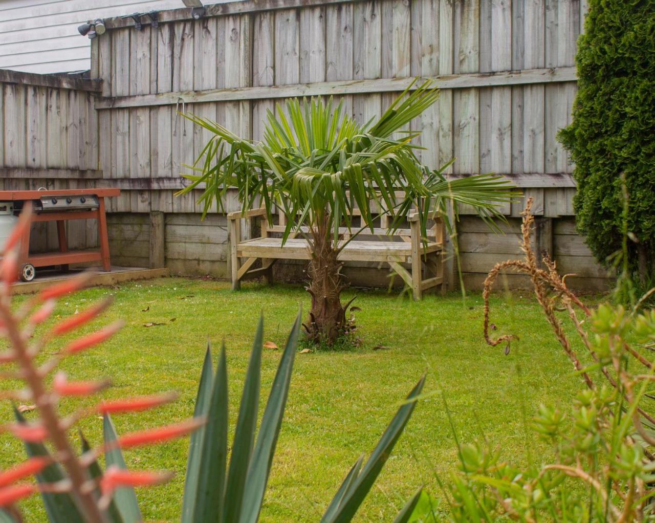 Palm Motel Waihi Eksteriør bilde