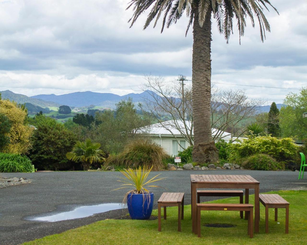 Palm Motel Waihi Eksteriør bilde